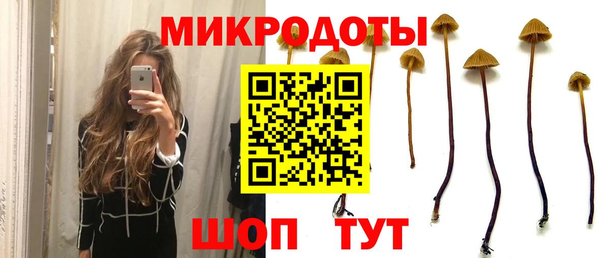 Псилоцибиновые грибы Psilocybine cubensis  Вход с VPN  Мелеуз 
